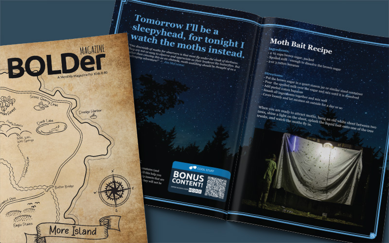 bolder magazine, monthly magazine, moth bait